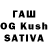 Галлюциногенные грибы Cubensis Afaq Babayeva