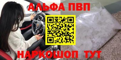 СК Новокубанск