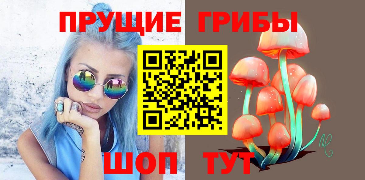Гулькевичи  Галлюциногенные грибы GOLDEN TEACHER  Вход с VPN 